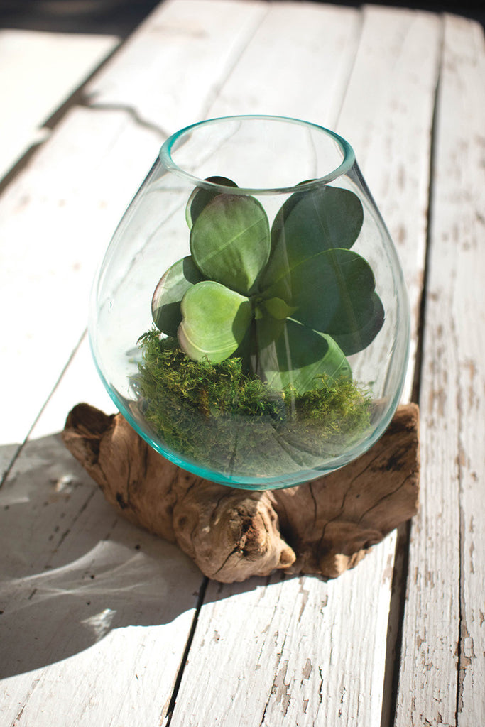 BLOWN GLASS BOWL ON DRIFTWOOD BASE - LARGE-Fiore Verde
