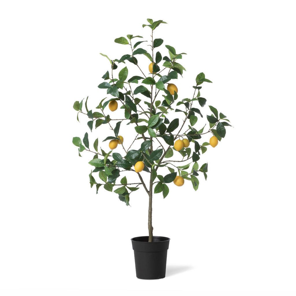 Lemon Tree in Plastic Pot-Fiore Verde
