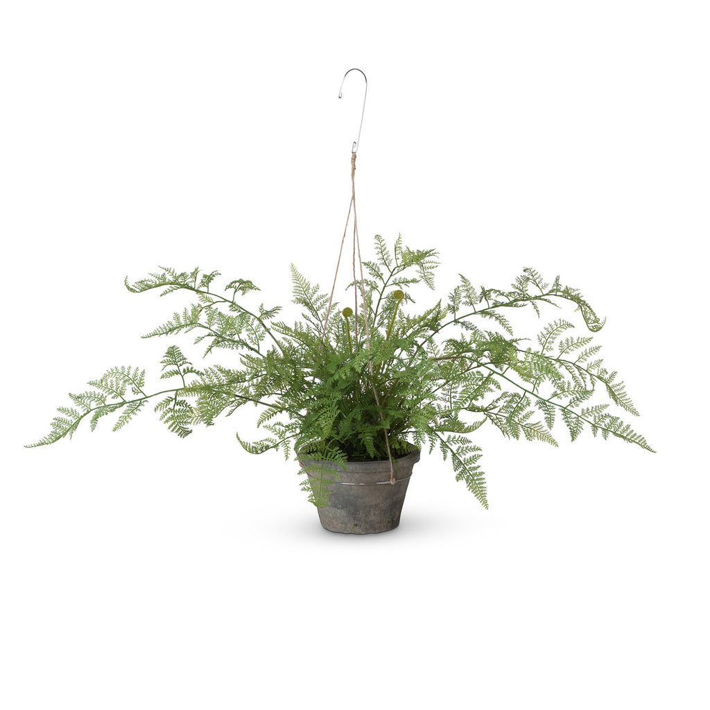 Potted Hanging Fern, Large-Fiore Verde