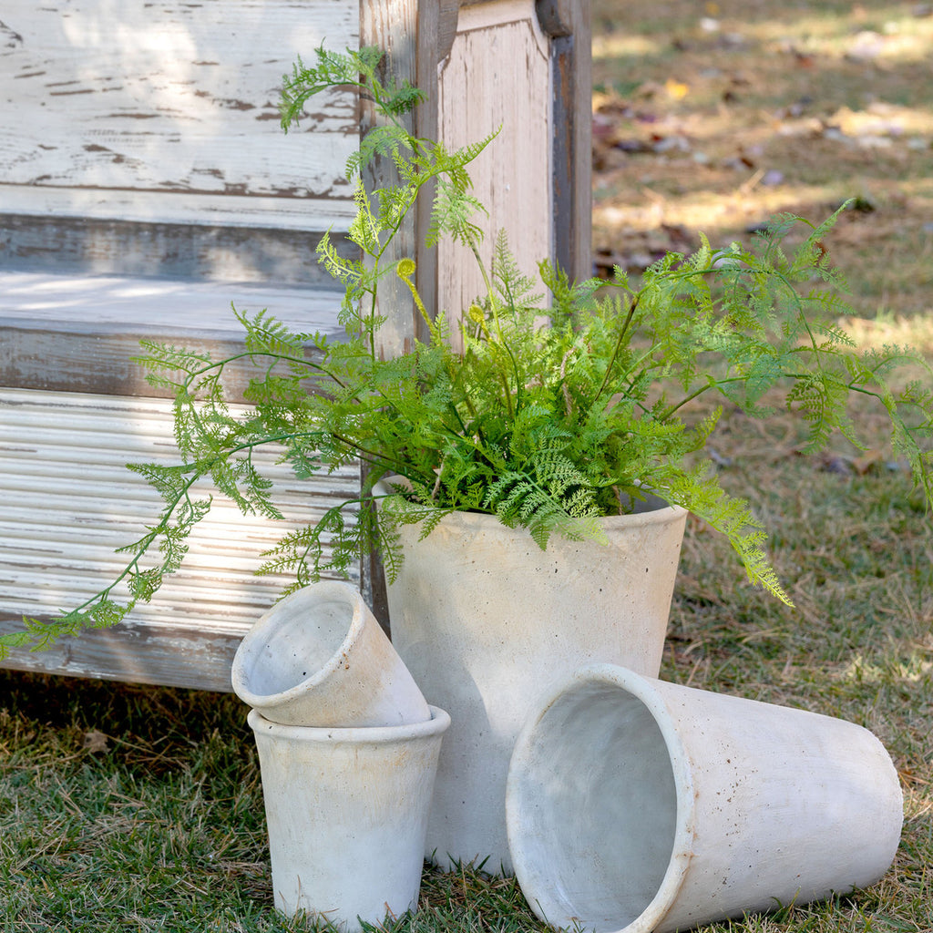 Potted Hanging Fern, Large-Fiore Verde