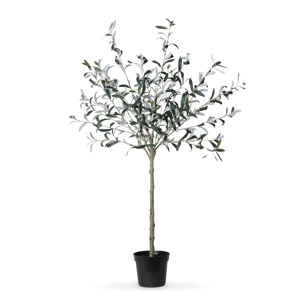 Potted Olive Topiary-Fiore Verde