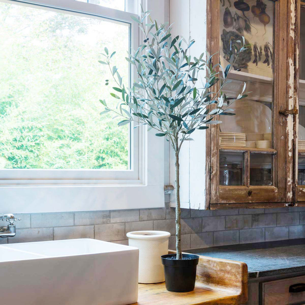 Potted Olive Topiary-Fiore Verde