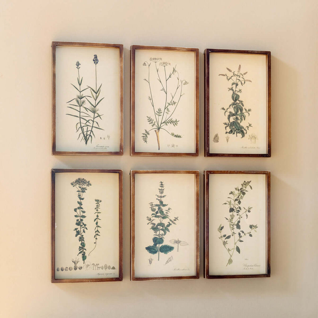 Collected Botanical Framed Prints, Set of 6-Fiore Verde