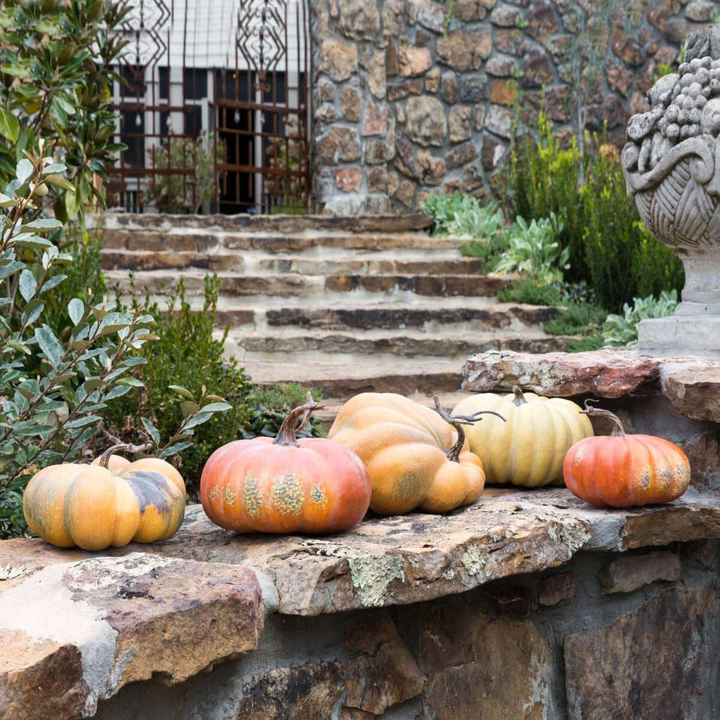 Kentucky Field Pumpkin Collection, Set of 5, Assorted Styles-Fiore Verde