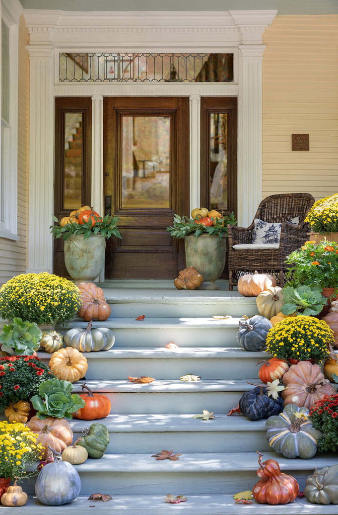 Kentucky Field Pumpkin Collection, Set of 5, Assorted Styles-Fiore Verde