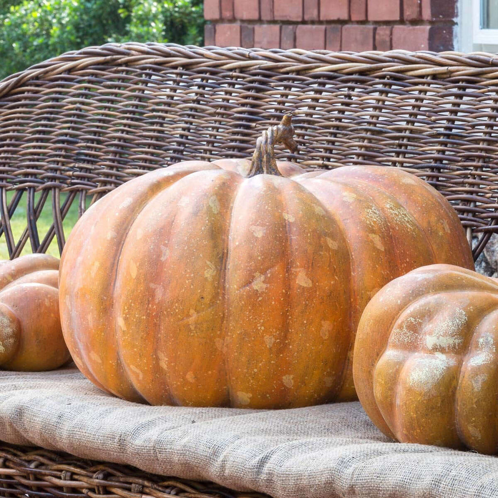Big Papa Pumpkin-Fiore Verde
