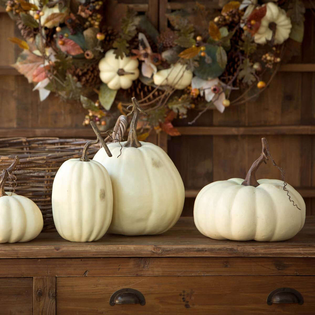 Full Moon Pumpkin Collection, Set of 5-Fiore Verde