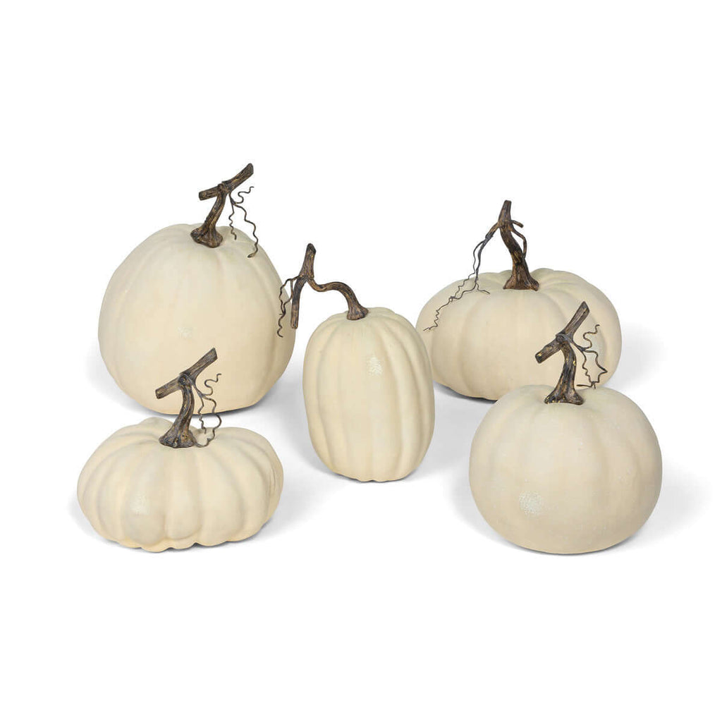 Full Moon Pumpkin Collection, Set of 5-Fiore Verde