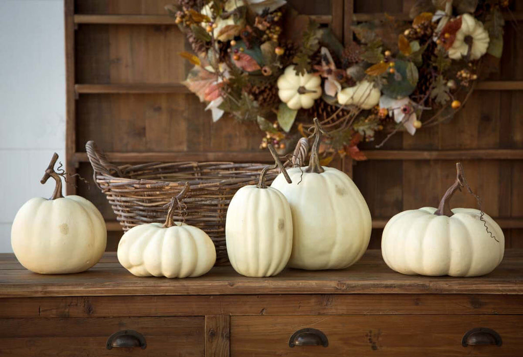 Full Moon Pumpkin Collection, Set of 5-Fiore Verde
