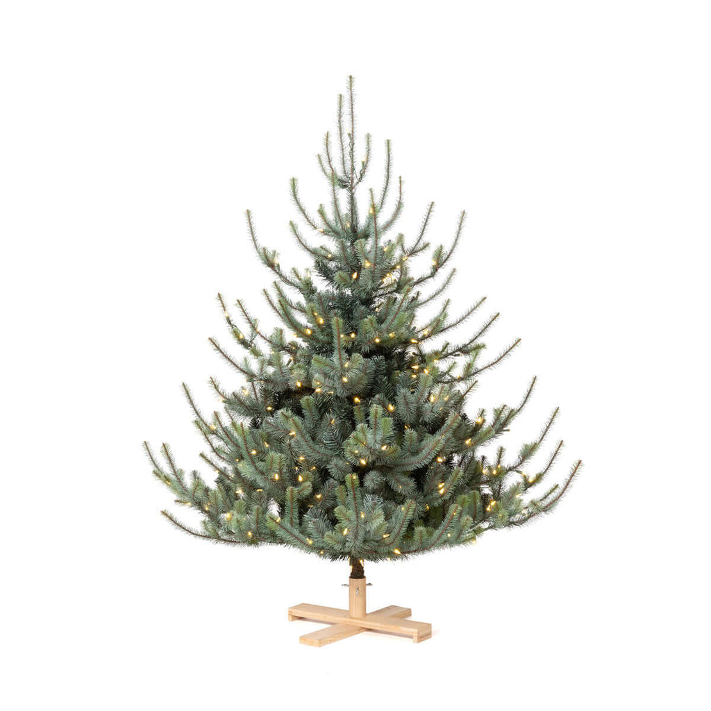 Park Hill Blue Spruce Christmas Tree, 5.5' Tree Lot-Fiore Verde