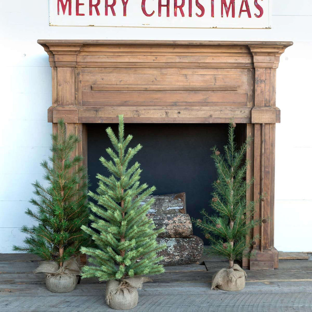 Second-Year Faux Seedling Trees, Set of 3, Assorted Styles-Fiore Verde