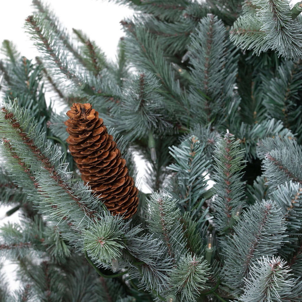 Park Hill Blue Spruce Christmas Tree, 7.5' Clear and Multi Lights-Fiore Verde
