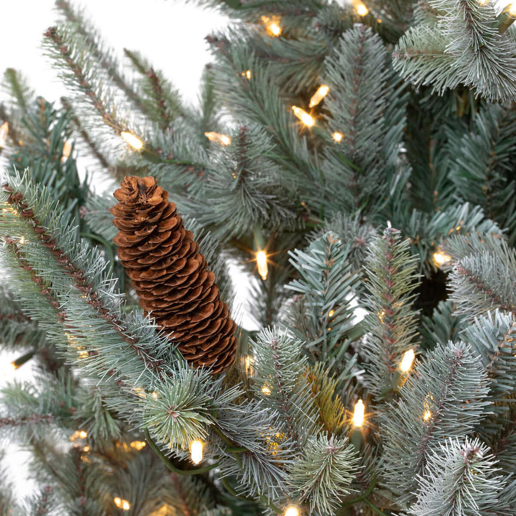 Park Hill Blue Spruce Christmas Tree, 7.5' Clear and Multi Lights-Fiore Verde