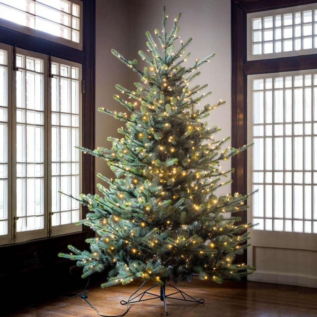Park Hill Blue Spruce Christmas Tree, 7.5' Clear and Multi Lights-Fiore Verde