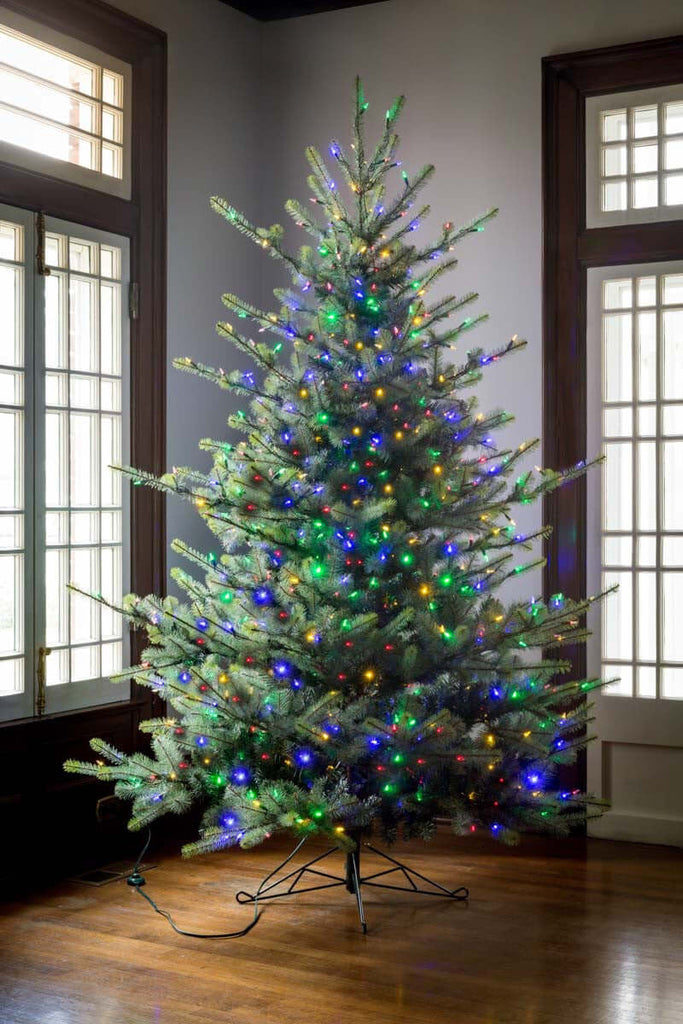 Park Hill Blue Spruce Christmas Tree, 7.5' Clear and Multi Lights-Fiore Verde